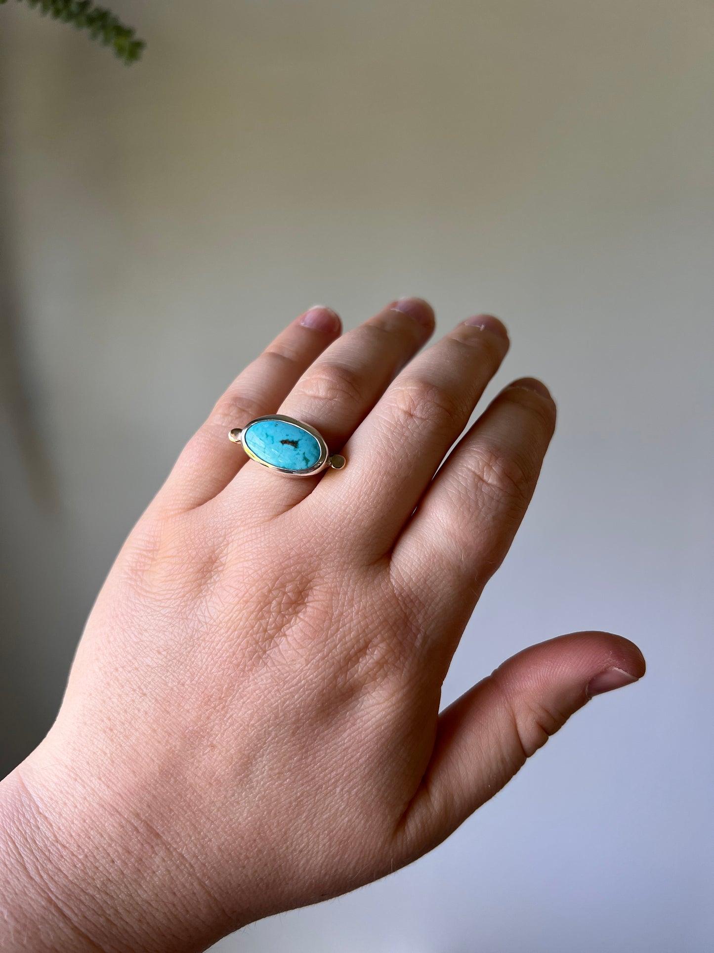 Ocean Point Ring 12