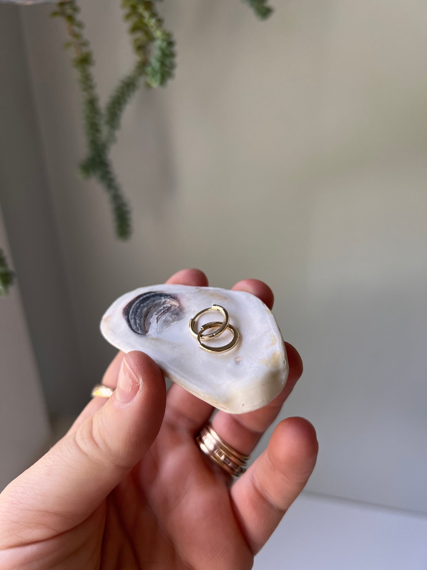 14k Yellow Gold Round Mini Hoops