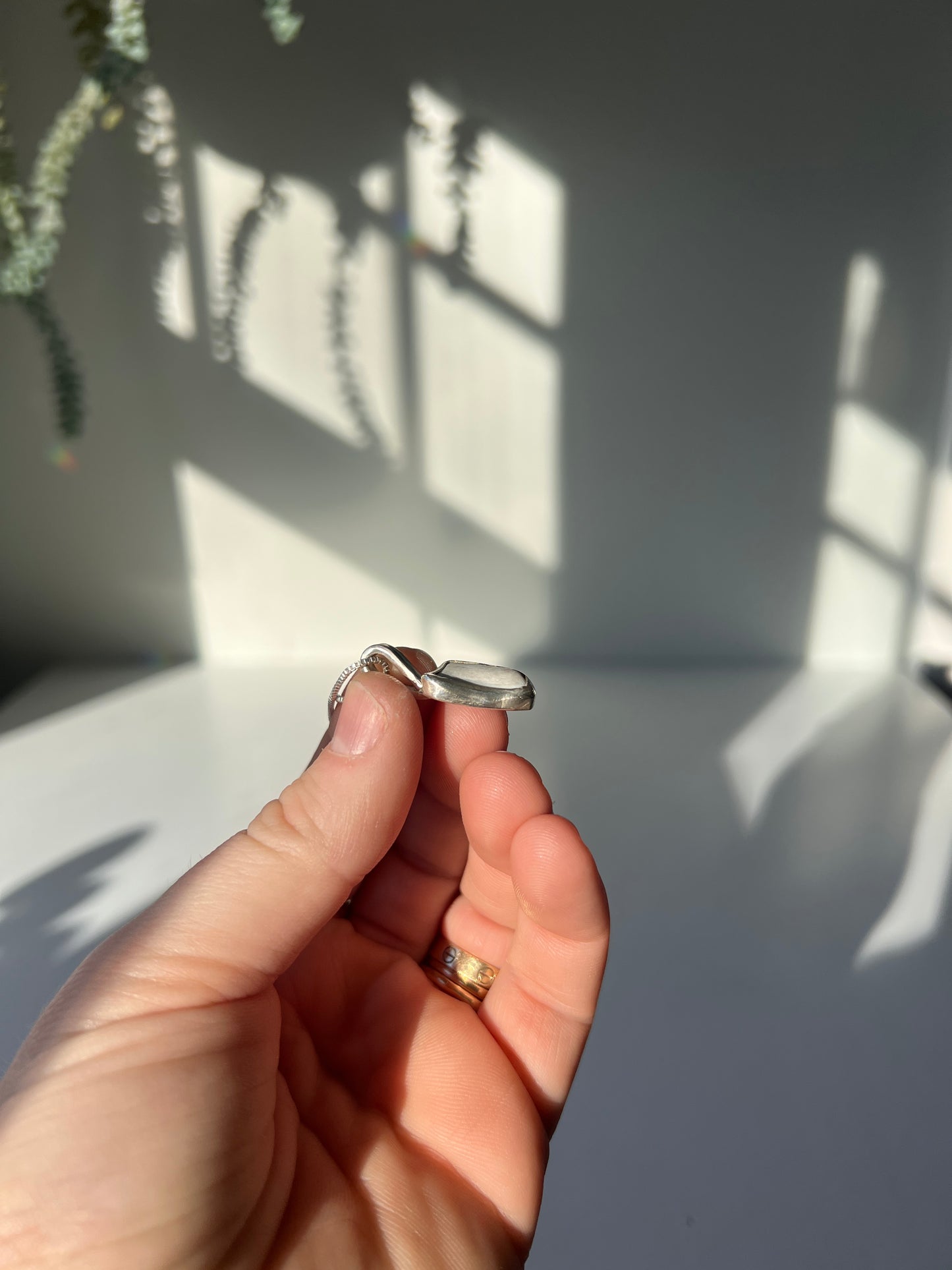 Mussel Shell Charm #6