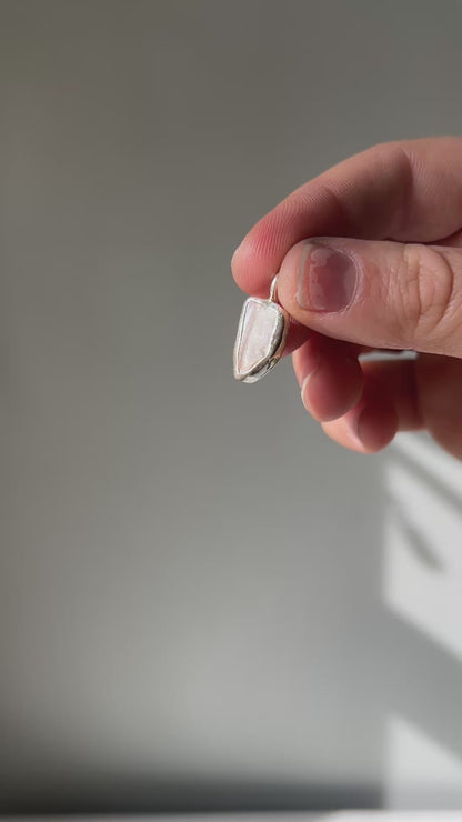 Mussel Shell Charm #2